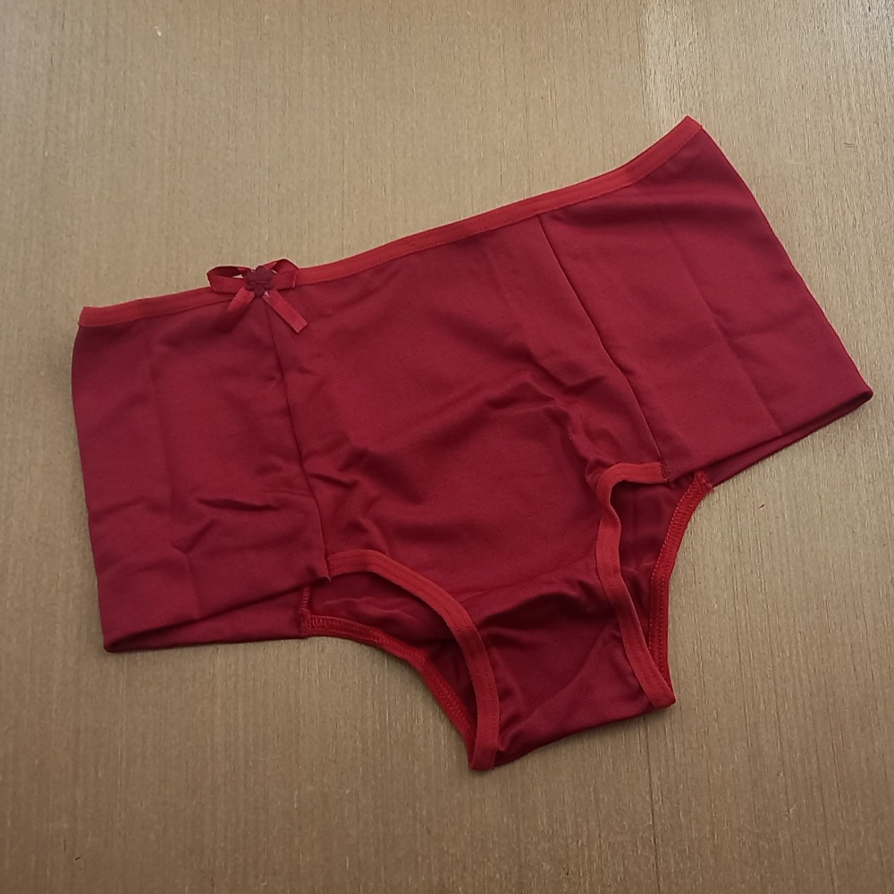Calcinha Alcia Rubi