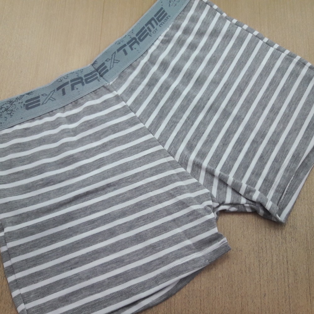 Cueca Boxer Polister Listras