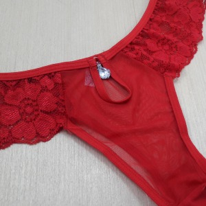 Conjunto Tule com Renda