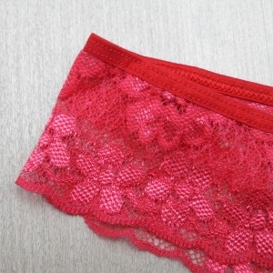 Tanga em Micro e Renda Lisa
