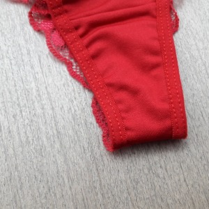 Tanga em Micro e Renda Lisa