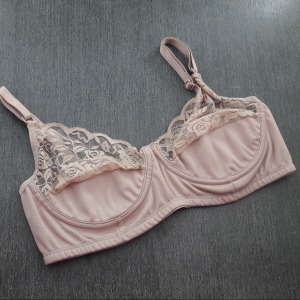 Suti Sustentao Renda