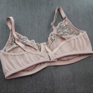 Suti Sustentao Renda