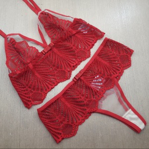 Conjunto Sem Bojo em Renda e Tule