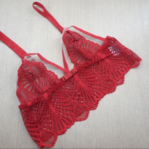 Conjunto Sem Bojo em Renda e Tule