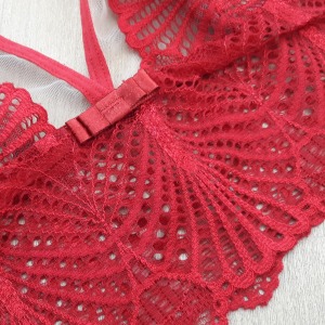 Conjunto Sem Bojo em Renda e Tule