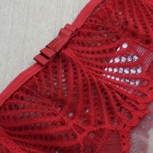 Conjunto Sem Bojo em Renda e Tule