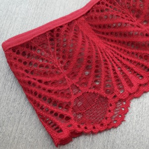 Conjunto Sem Bojo em Renda e Tule