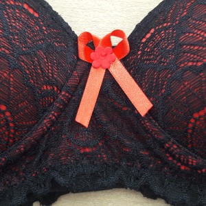 Conjunto com Bojo Rendado