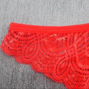 Conjunto Cropped Luxo em Renda 